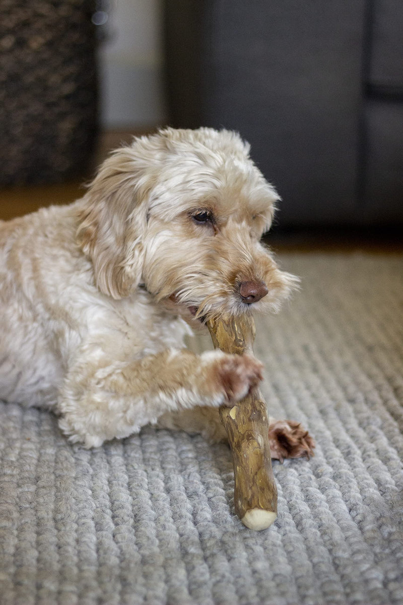 Rosewood Goodwood, Coffee Wood Dog Chew Toy, Medium 200g - 300g, Brown - PawsPlanet Australia