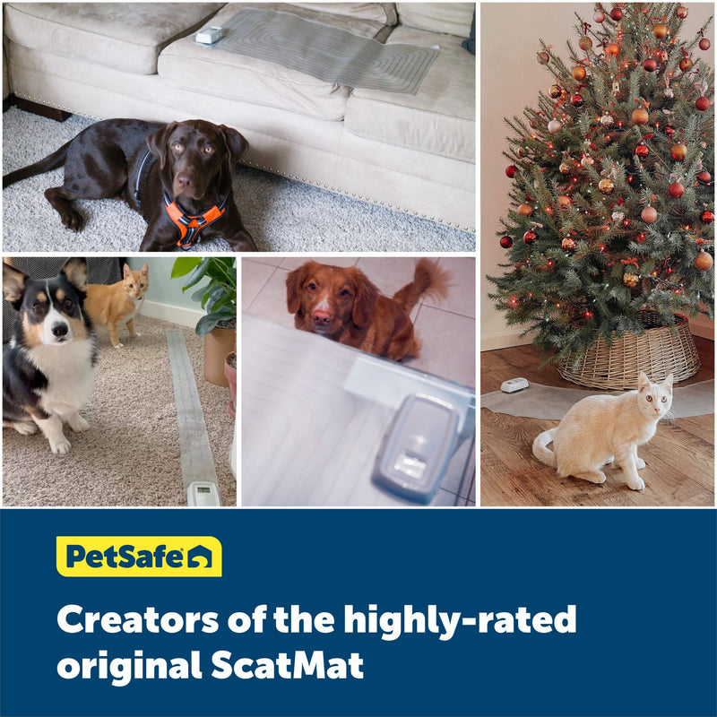 PetSafe ScatMat Indoor Training Mat, 7 Correction Modes, Protect Your Furniture, Training Tool for Dogs and Cats, Curved Size Mat (50 in X 12 in) - Pet Proof Around Areas - Battery-Operated Mat - PawsPlanet Australia