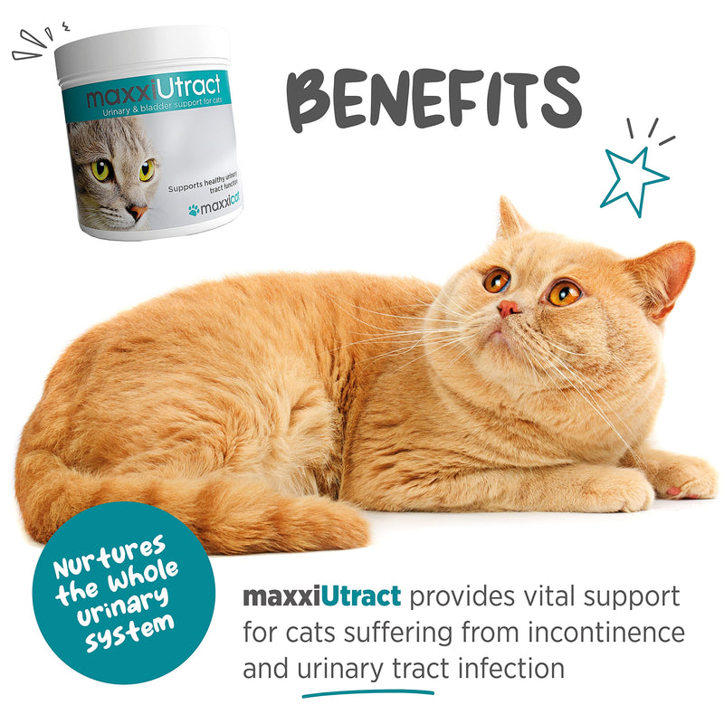 maxxiUtract Urinary and Bladder Supplement for Cats to Help Prevent UTI Recurrence and Support Optimum Urinary Tract Health (2.1 oz) 2.1 Ounce (Pack of 1)