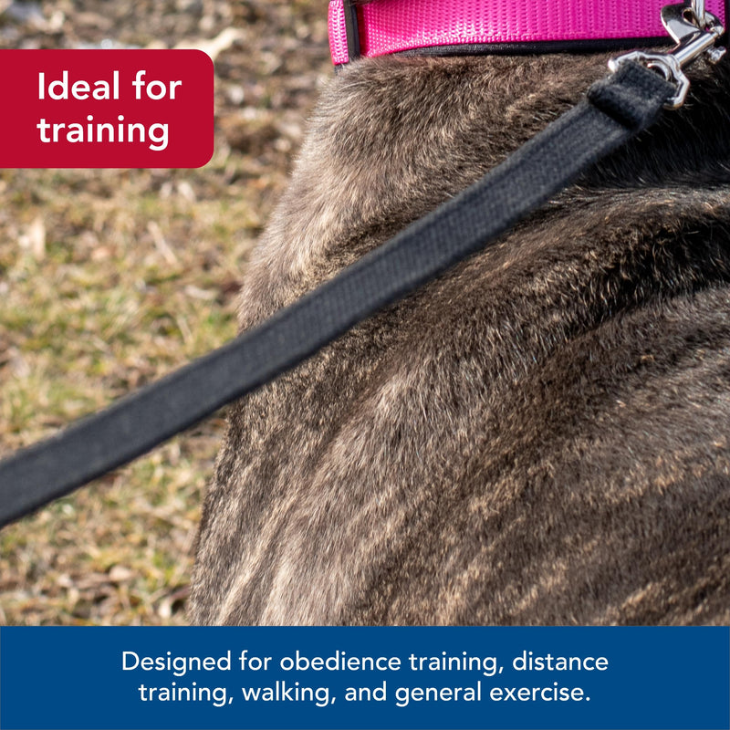 Coastal Pet Train Right Cotton Web Dog Training Leash - 100% Cotton Dog Leash for Training - Durable Supplies - Green, 5/8" x 10' - PawsPlanet Australia