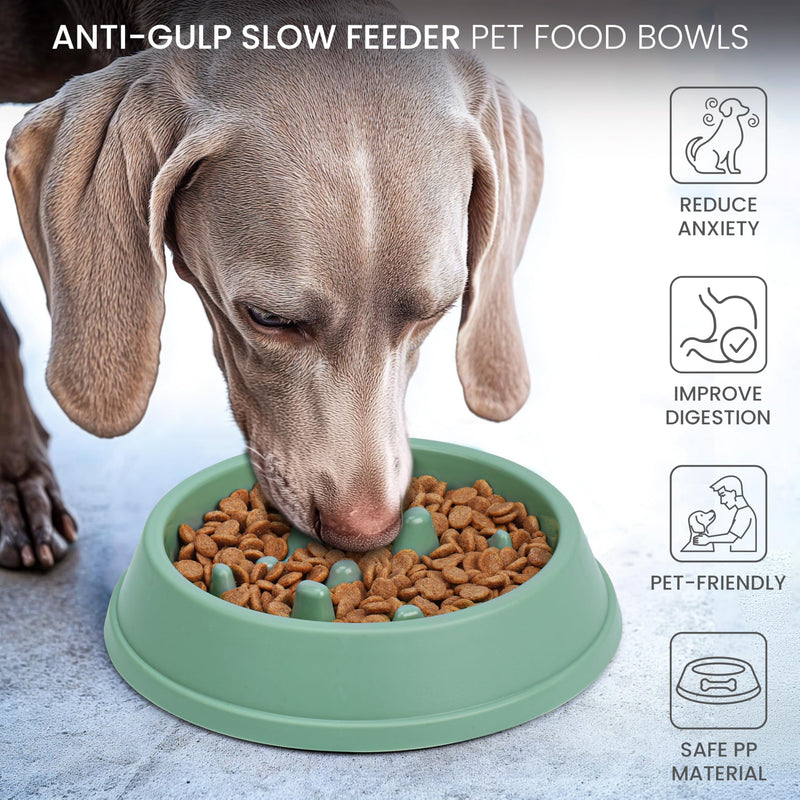 Belle Vous Slow Feeder Dog Food Bowls (2 Pack) - 350ml Dog Slow Feeder Bowls for Small-Large Dogs - Puppy & Dog Feeding Bowl Set To Slow Down Eating - PawsPlanet Australia