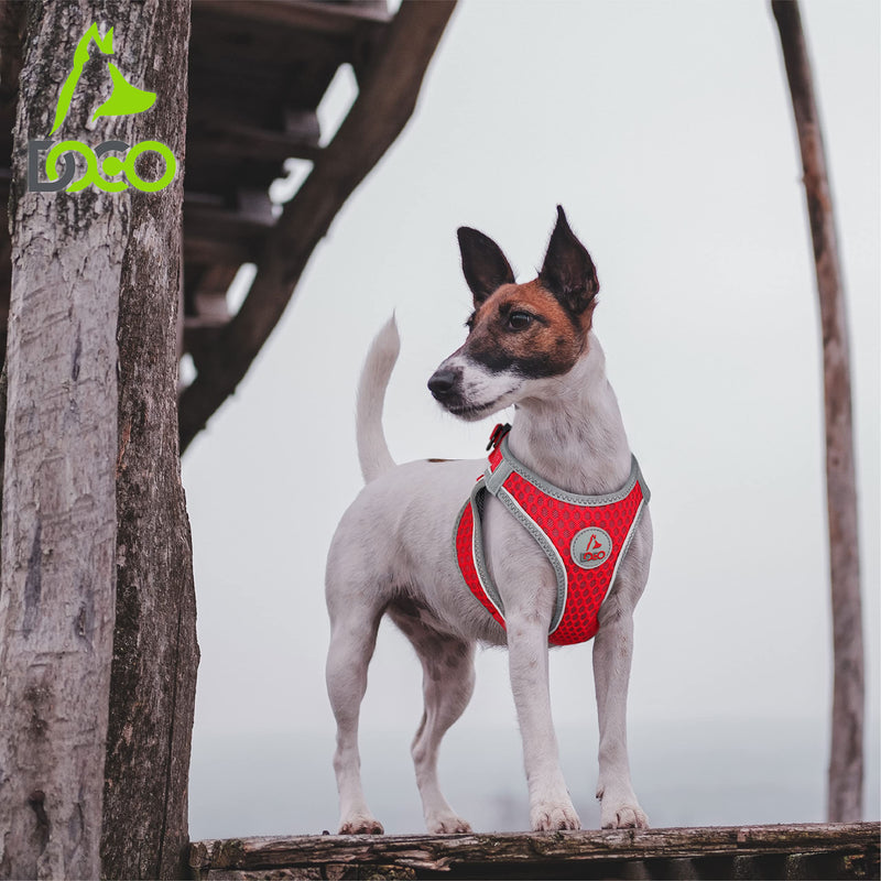DOCO Athletica Small Dog Quick FIT Mesh Harness │ 2 Leash Clips, Heavy Duty No Choke Vest, Lightweight Reflective (Dogs and Puppies Under 30 lbs) Medium (Chest: 16-17") Red - PawsPlanet Australia