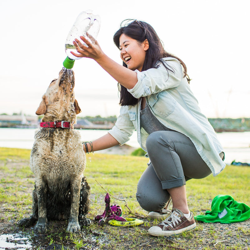 Kurgo Portable Outdoor Shower for Dogs, Dog Grooming Tool, Pet Bathing Gear, Dog Travel Accessories, Hiking, Beach, OR Camping Supplies for Pets, Works with 2 Liter Soda Bottle, Mud Dog Shower - PawsPlanet Australia
