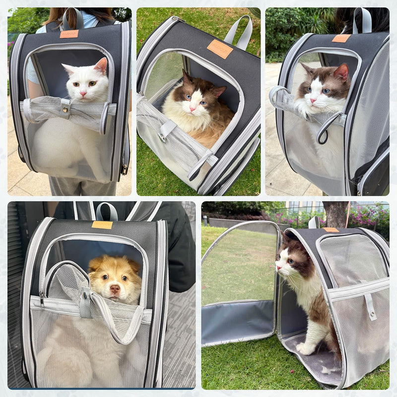 Cat Backpack Carrier, Pet Backpack Carrier Cats and Small Dogs, Collapsible Fully Ventilation Cat Backpack for Outdoors Hiking Camping Travel(up to 16.5lbs) - PawsPlanet Australia