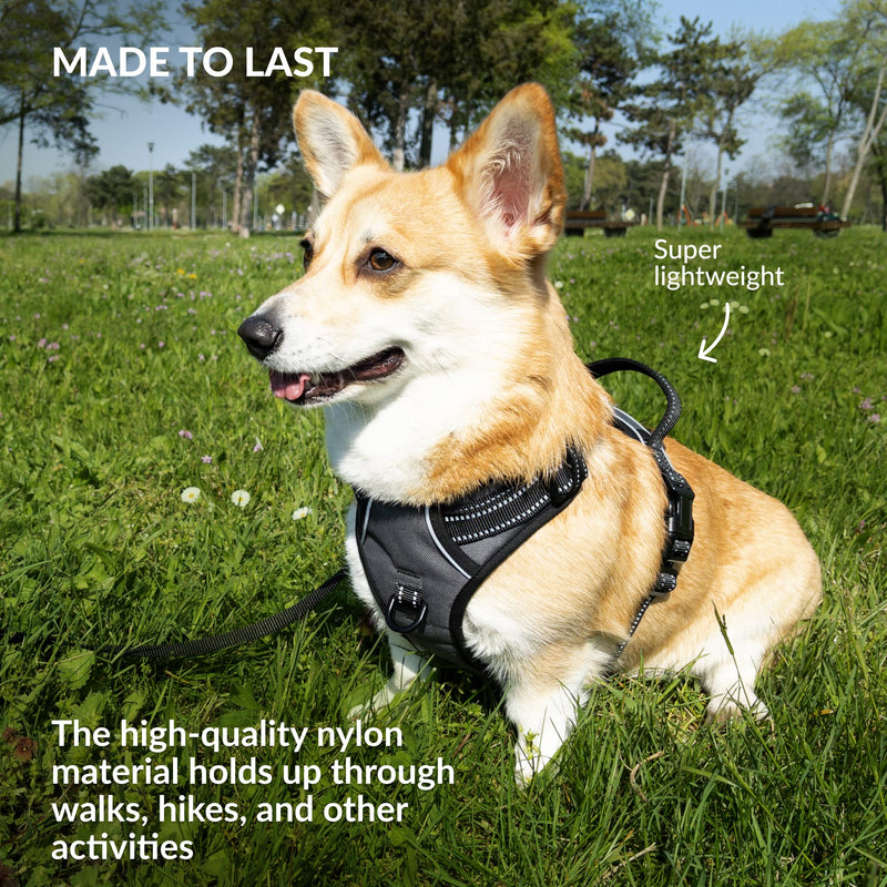 CollarDirect No Pull Reflective Dog Harness with Handle and Front Clip, Adjustible Soft Padded Vest for Small to Large Dogs Training and Walk (Size L, Grey)
