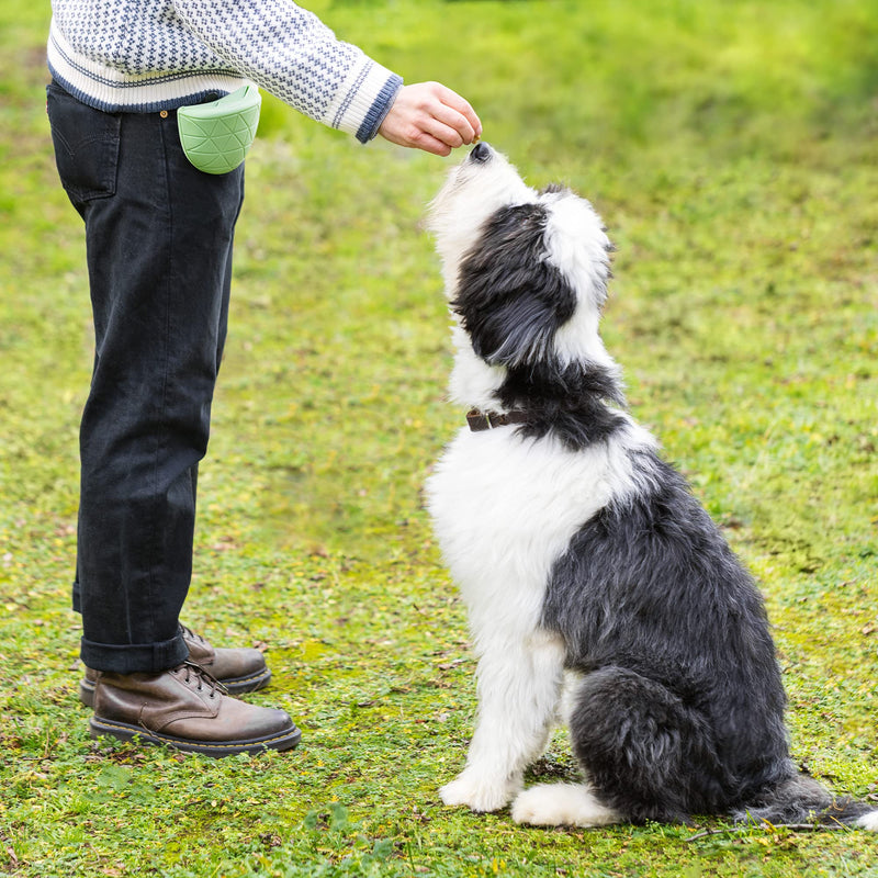 Navaris Silicone Dog Treat Pouches (Set of 2) - Dog Treat Pouch Holder Bag with Clip for Training, Treats, Leash - Triangle Design - Green and Gray - PawsPlanet Australia
