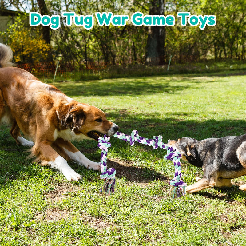 Dog Rope Toys for Large Dogs - 42In 6 Knots Indestructible Dog Rope Toy, Dog Toys for Aggressive Chewers, Heavy Duty Dog Chew Toys, Tug of War Rope Toy, Tough Dog Rope Toys for Medium Large Breeds Blue-Rope Toy - PawsPlanet Australia