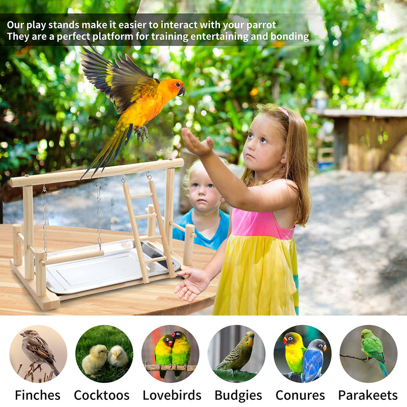 Natural Wood Bird Playground Parrot Perch Playstand Play Gym Stand Playpen Perches Ladder Swing Platform with Toys Exercise Playgym for Luonfels,Budgie,Cockatiels,Conures,Parakeets,Lovebird