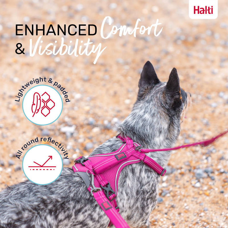 HALTI Anatomy Dog Harness with Handle - Provides Your Dog Freedom of Movement for Comfortable Walking. 3 Leash Attachment Points, Neoprene Padded, Adjustable, and Reflective (Size Medium, Magenta) M - PawsPlanet Australia