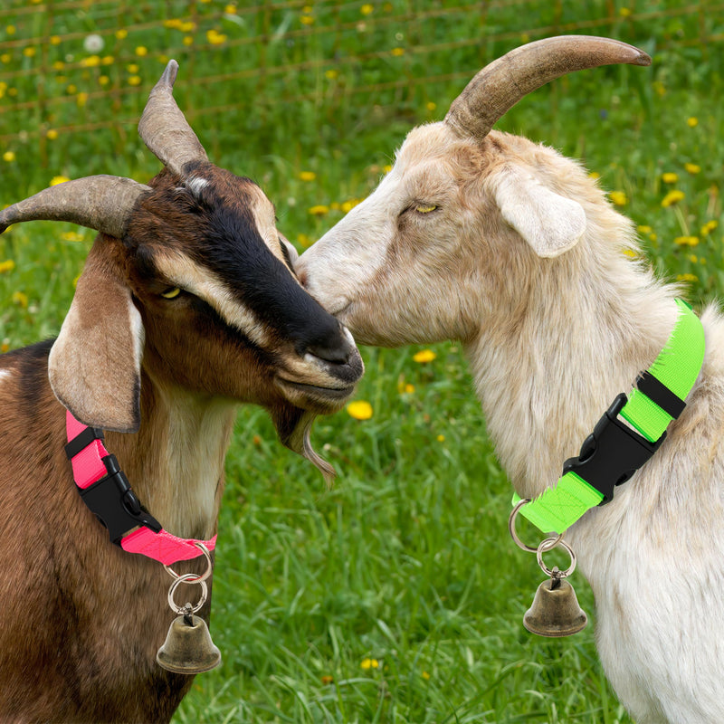 3 Pack Goat Collars with Bells, Adjustable Pet Collar & Anti-Lost Loud Bronze Grazing Copper Bells Accessories for Small Farm Animal Sheep Cow Goat (Neck 13.8"-20.9") - PawsPlanet Australia
