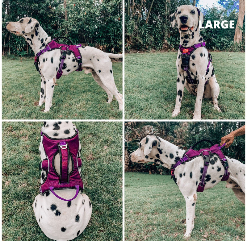 Tuff Pupper Escape Proof No Escape Dog Harness | 5 Point Adjustable Fit Harness for Dogs | Padded Dog Harnesses | Handle Dog Lift Harnesses Large Purple - PawsPlanet Australia