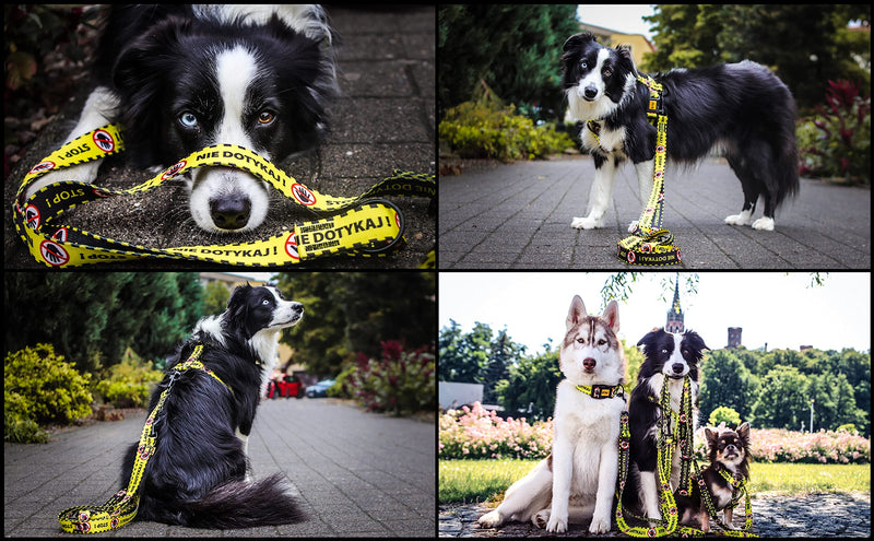 Dingo DO NOT PET Material Leash Adjustable Safe Control Caring for Special Dog Needs Black/Yellow Size L 15364 YELLOW - PawsPlanet Australia