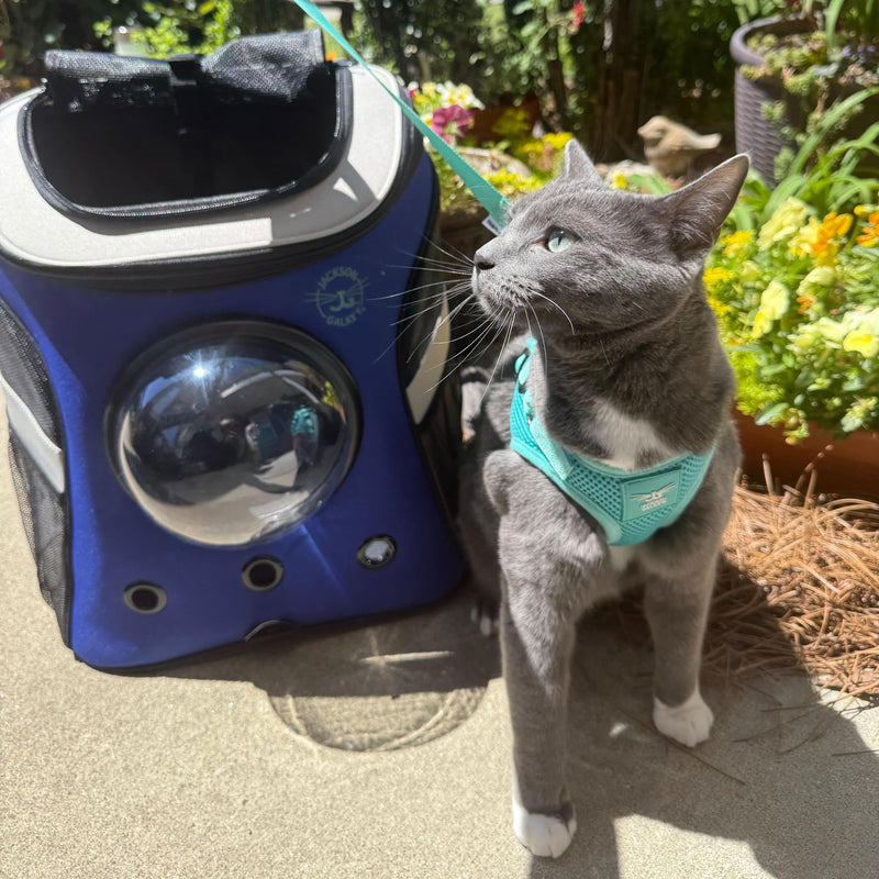 Travel Cat x Jackson Galaxy Harness and Leash Set - Adjustable Fit Mesh Cat Harness with Nylon Leash - Comfort, Escape Proof Harness for Cats, Kitten for Outdoor Walking, Hiking (Kittens Only) Extra Small