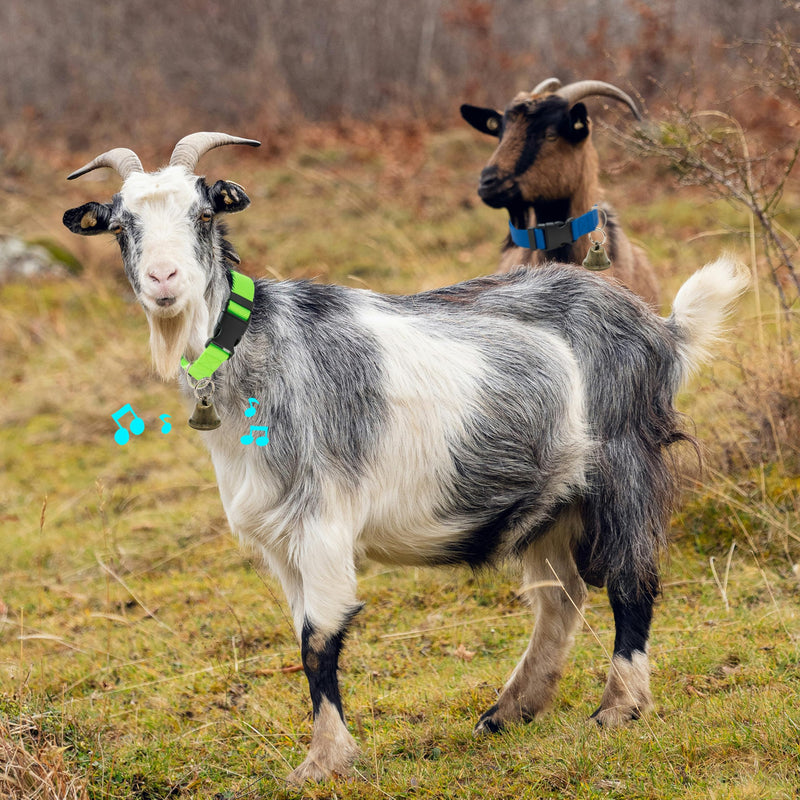 3 Pack Goat Collars with Bells, Adjustable Pet Collar & Anti-Lost Loud Bronze Grazing Copper Bells Accessories for Small Farm Animal Sheep Cow Goat (Neck 13.8"-20.9") - PawsPlanet Australia