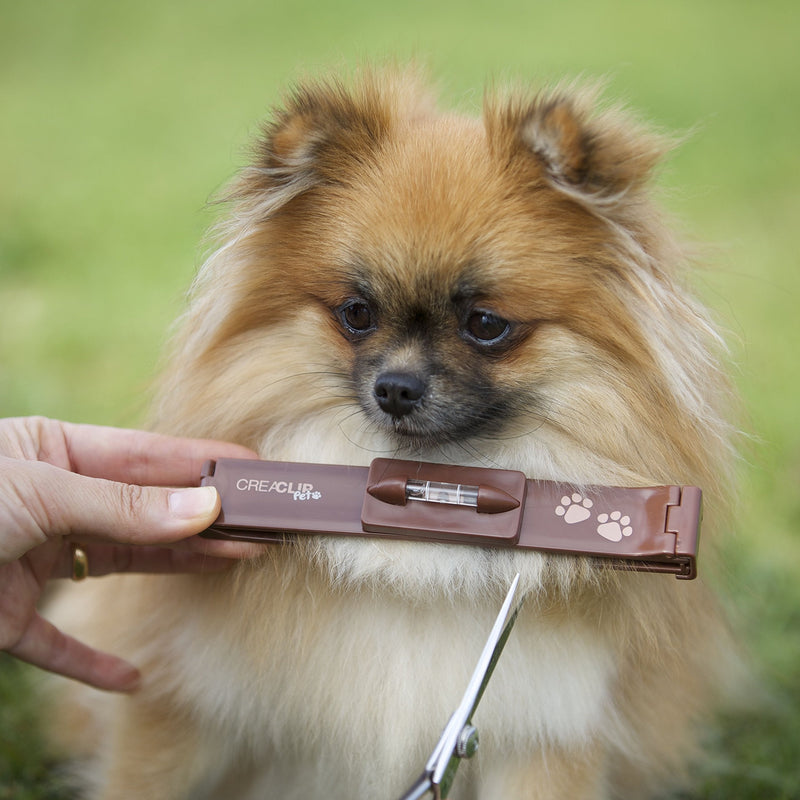 Pet - Quiet Dog Cat Horse Pet Grooming Kit - Low Noise Pet Grooming Clip Cordless for Sensitive Pets - PawsPlanet Australia