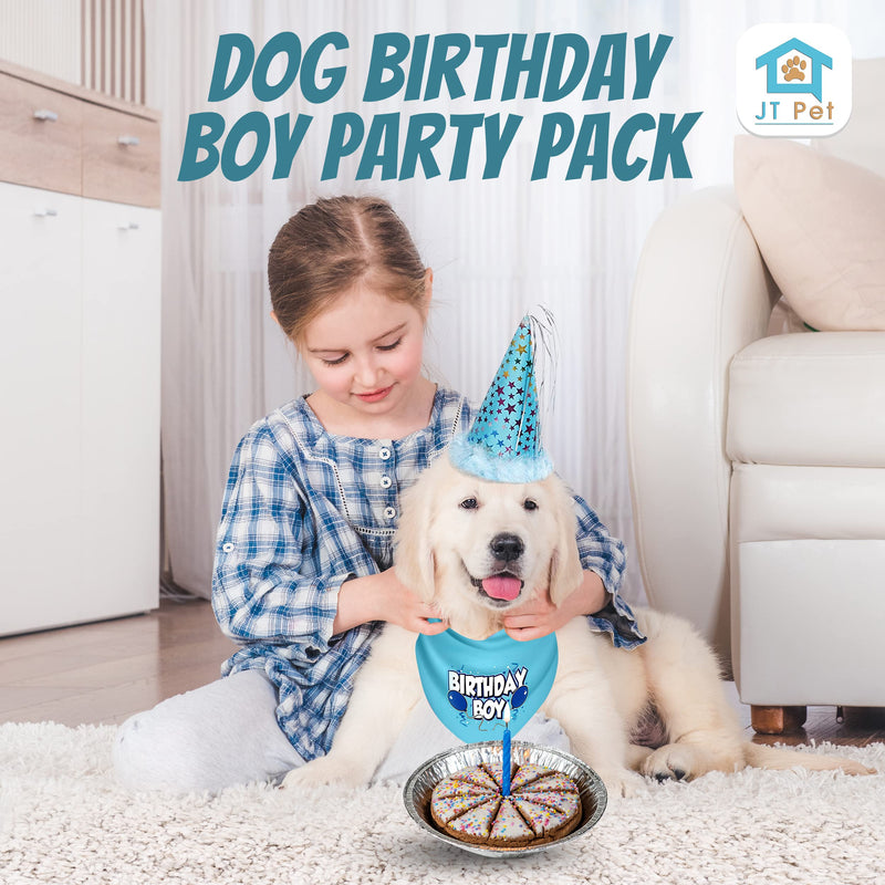 Dog Birthday Boy Party Pack with Bandana, Star Spangled Party Hat with Adjustable Elastic, Tassels and Feathery Trim, and Vegan Birthday Pie, Large Boy Dog Pie Bundle - PawsPlanet Australia
