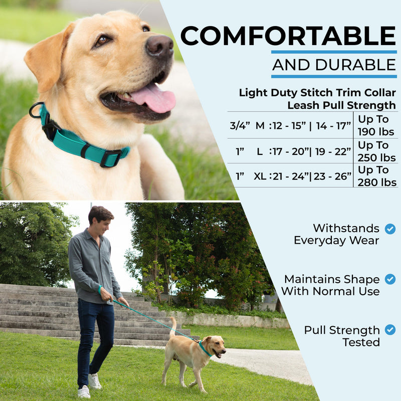 DogTraxs - Light Duty Dog Collar - Biothane Dog Collar - for Large Dogs - Waterproof & Odor Resistant - Quick Release Plastic Buckle Style - Made in USA - 1" W x 19-22" L – Teal Large - 1" W x 19-22" L