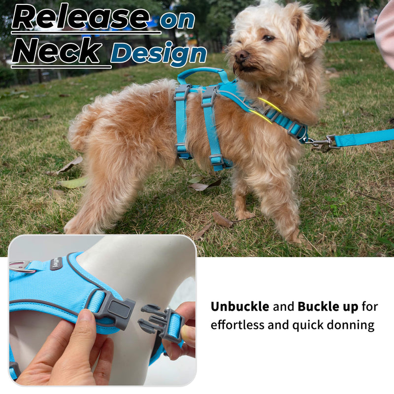 Escape Proof Dog Harness and Leash Set, Lightweight Dog Harness with Lift and Assist Handle, No Pull Reflective Pet Vest for Small Medium Dogs, Ideal for Puppy Walking and Training (Blue, S) Blue (Harness+Leash)