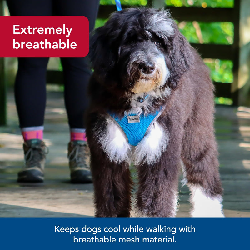 Coastal Pet Comfort Soft Reflective Wrap Adjustable Dog Harness - No-Pull Dog Harness for Small & Large Dogs - Blue Lagoon - 1" x 28"–36" - PawsPlanet Australia