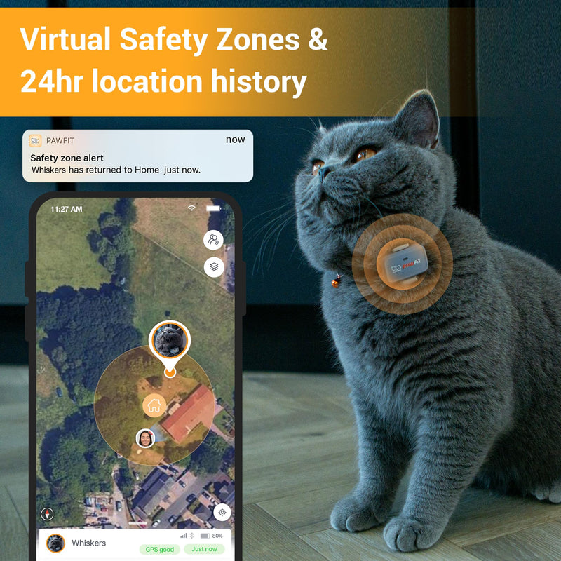 Lite for Cats 4g GPS Tracker | Real Time Tracking | Activity Monitoring |Location History | Unlimited Range | Safety Collar Included | Simply White - PawsPlanet Australia