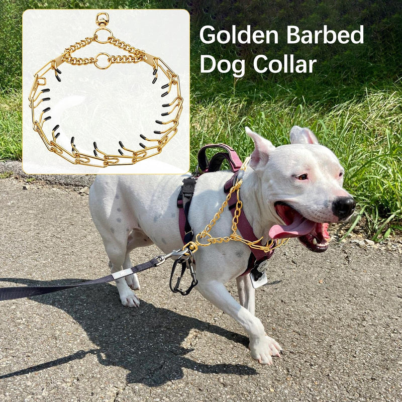 Dog Pinch Collar Stainless Steel,Gold Prong Dog Training Collar,No Pull Martingale Collar Stainless Steel Metal Chain Collar,Adjustable Size Collar for Medium and Large Dogs(S, Gold) S - PawsPlanet Australia