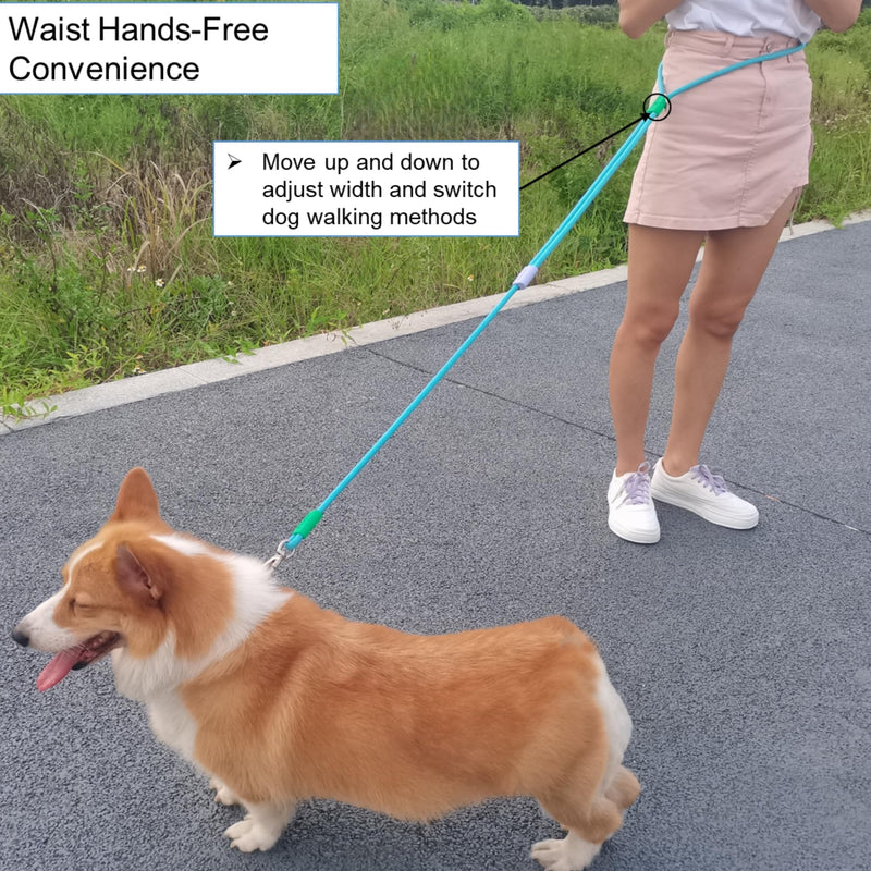 Hands Free Dog Leash,Adjustable Bungee Waist & Crossbody Leash with Comfortable Handle,Heavy Duty Nylon Rope for Small to Large Dogs,Safety Lock for Running,Hiking,Walking (Purple) 5ft Purple - PawsPlanet Australia