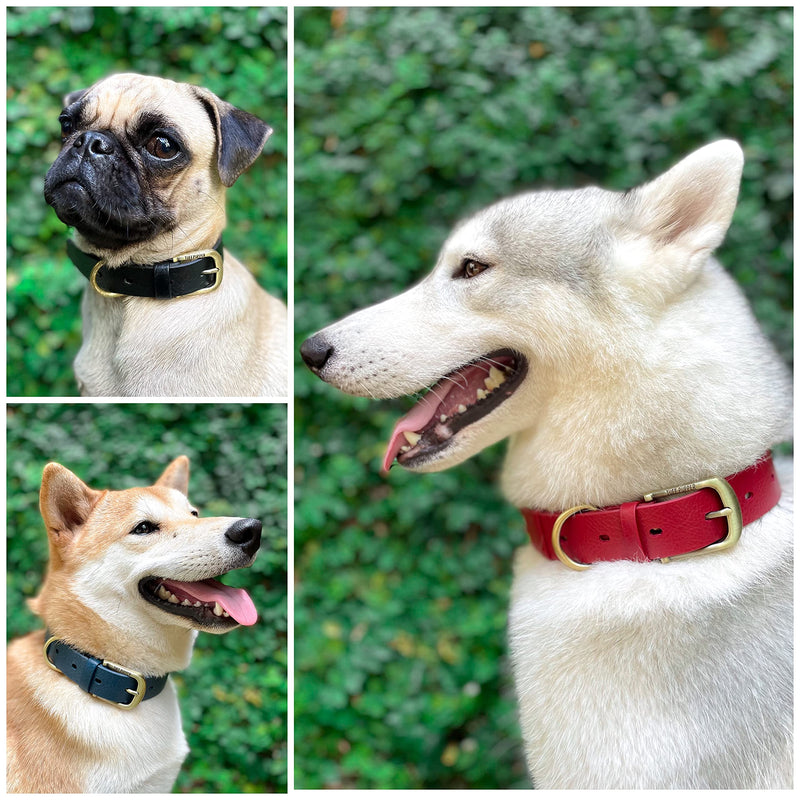 Tuff Pupper Classic Heavy Duty Dog Collar | 10x Stronger Than Leather | 100% Waterproof & Odor Proof Dog Collar | Tough Rust-Proof All Metal Hardware Crimson Red Medium (15 - 19" Neck) - PawsPlanet Australia