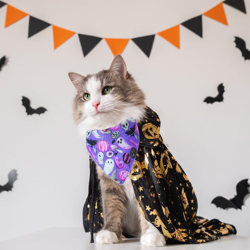 Halloween Cat Collar with Bow Tie and Bells, Holiday Ghost and Pumkin Cat Bandana with Charms for Boys and Girls Male Female Kitties Kittens