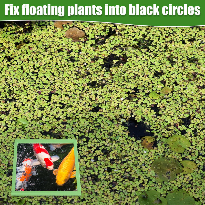 6pcs Aquarium Floating Plant Rings, Round & Square Floating Plant Corral Different Size Fish Feeding Rings Fish Tank Plant Ring Keep Floating Plants in Place (Green) - PawsPlanet Australia