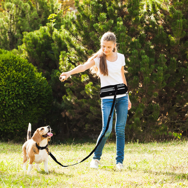 Kruz Hands Free Dog Leash (Waist 26”- 48”, Leash- 1”x 5ft) Premium Waist Belt for Walking, Running & Hike Bungee with Dual Handles, Adjustable Fit, Reflective Safety Design for Large Dogs (Turquoise) Turquoise - PawsPlanet Australia