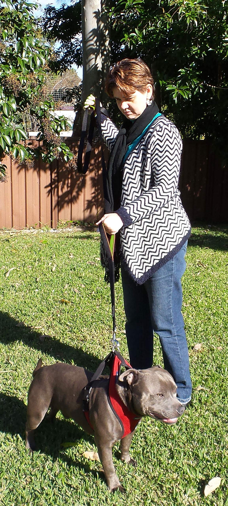 Dog Leash 6ft Long,Traffic Padded Two Handle,Heavy Duty,Reflective Double Handles Lead for Control Safety Training,Leashes for Large Dogs or Medium Dogs,Dual Handles Leads(Black) Black-Green - PawsPlanet Australia
