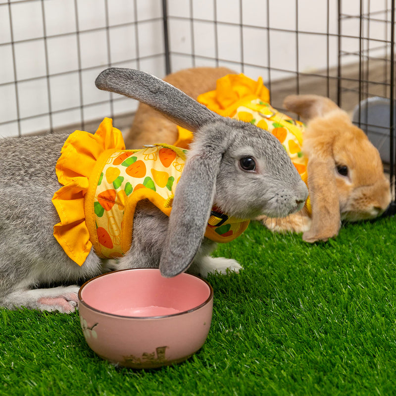Rabbit Harness and Leash for Walking Escape Proof - Cute Carrot Pattern Mesh Breathable Bunny Vest Harness Outdoor Camping Hiking Training - Also Suit for Ferret Kitten Puppy Small Animals S (neck:5.5"-7" chest:7"-9.8") Yellow - PawsPlanet Australia