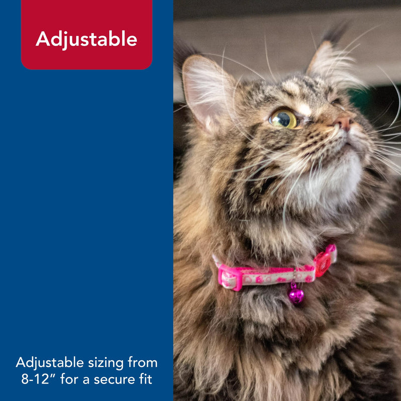 Coastal Pet - Safe Cat Glow in The Dark Adjustable Breakaway Collar - Glowing Pink Queen - 3/8" x 8"-12" 3/8" x 08"-12" (Pack of 1) - PawsPlanet Australia