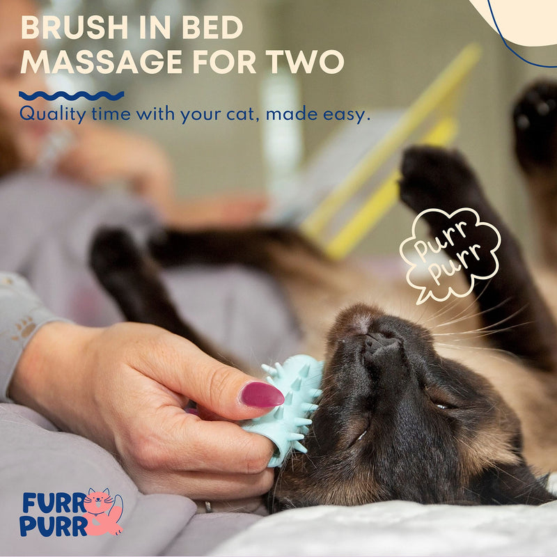Furr&Purr Cat Brush Set for Indoor Cats - Grooming Tools: Face Scratcher, Calming Massager, and Scratching Pad (2-Pack, Made in the USA) 2 Pack - New - PawsPlanet Australia