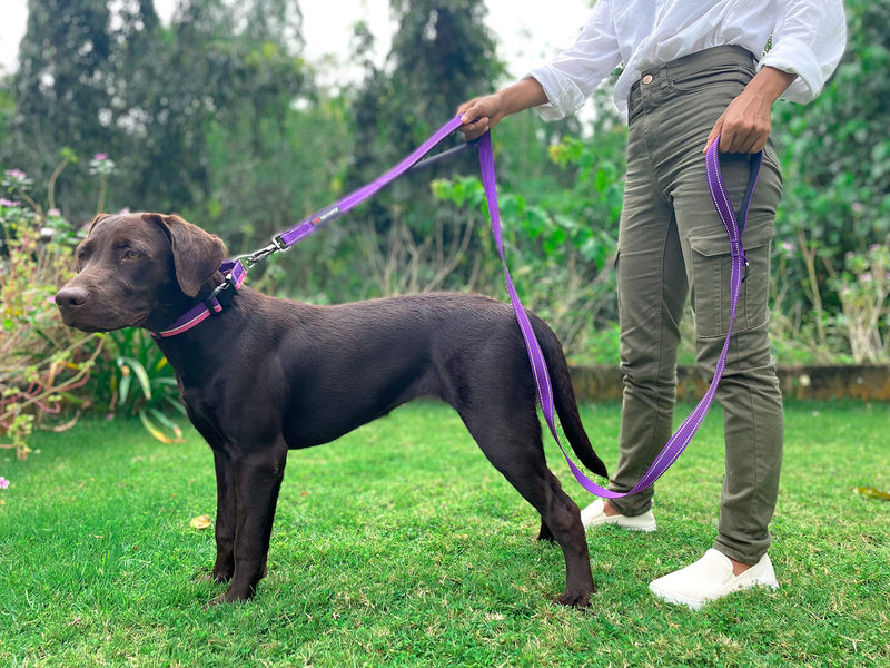 Tuff Pupper Heavy Duty Double Handle Leash | Twist Locking Carabiner Clip | Safety Lock for Strong Dogs | Reflective for Safe Night Walks | 6 Foot Leash | For Medium & Large Dogs Purple - PawsPlanet Australia