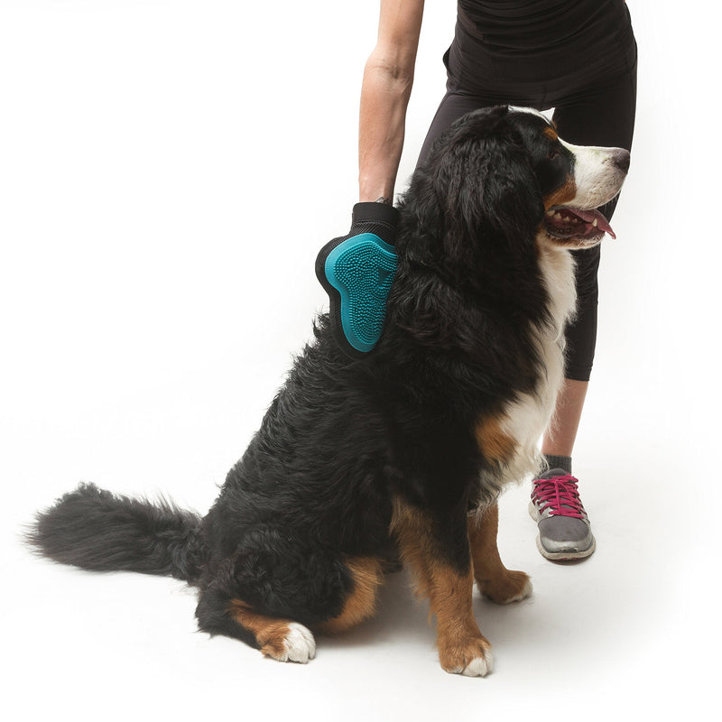 Messy Mutts Reversible Silicone Pet Grooming Glove | Gentle Massage, Brush, Bath and Dog Hair Removal Mitt | One Size Fits All | Blue - PawsPlanet Australia