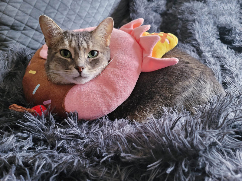 CREAMYCATS Cat Cone, Adjustable Recovery Cat Cone, Cute Comfortable Lightweight Elizabethan Collar for Cat, Kitten, Puppy and Mini Dog, Adorable Ice Cream Design - PawsPlanet Australia
