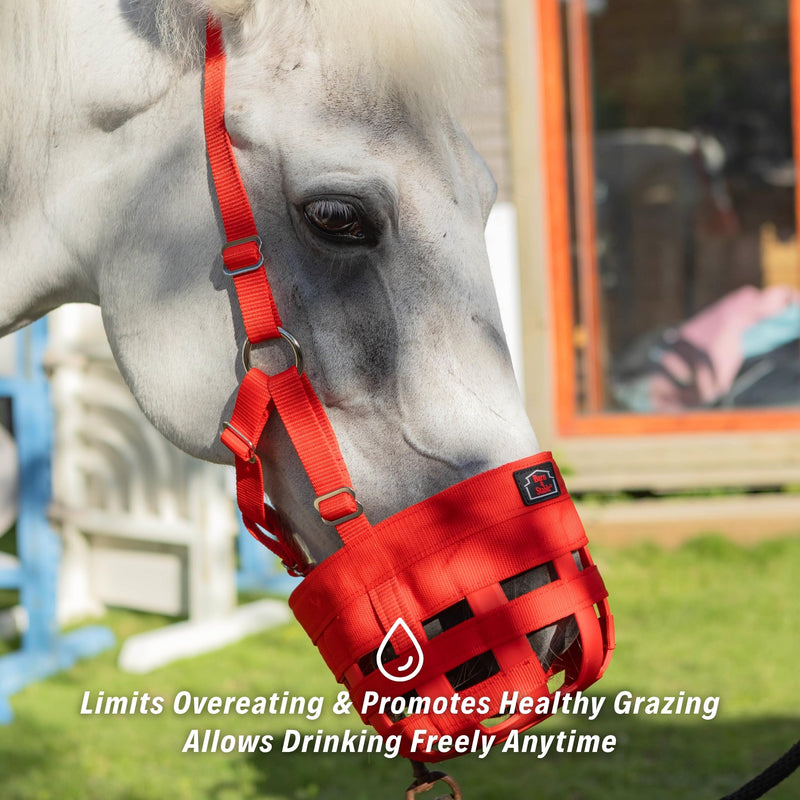 BARN & STABLE Horse Grazing Muzzle for Easy Breathe, Comfortable Muzzle Grazing for Horses with Adjustable Straps, Buckles, Suitable for Precaution of Laminitis Red Small - PawsPlanet Australia