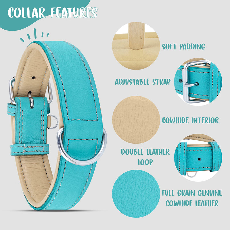 Riparo Genuine Leather Padded Dog Heavy Duty K-9 Adjustable Collar XL Aqua - PawsPlanet Australia
