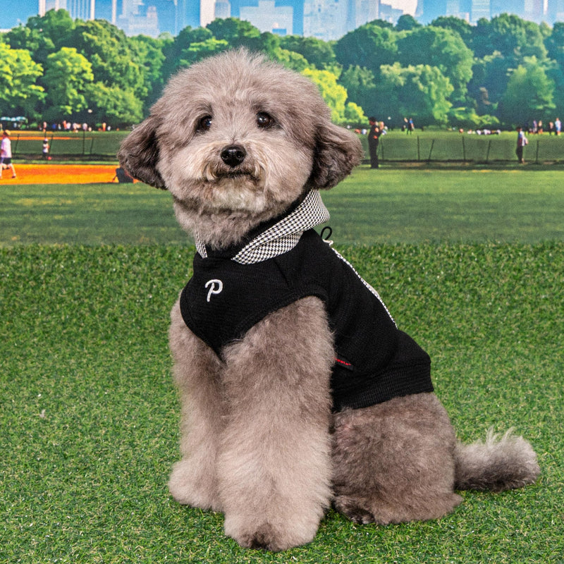 Puppia Xander Dog Shirt Hooded Trendy Fashionable Cute Dog Apparel for Small and Medium Dogs, Black, Small Black_Xander - PawsPlanet Australia