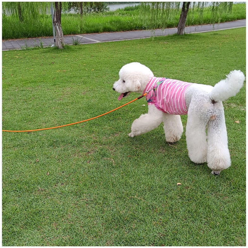 MayPaw 4/6/8/10 FT Dog Lead, Classic Solid Colours, Strong Nylon Rope Dog Lead Reinforced with Leather Tailor Connection Heavy Duty Silver Clasp (10ft*1/2", Orange) 10ft*1/2"