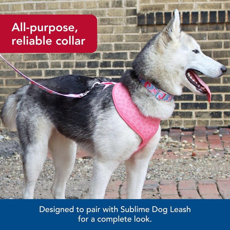 Coastal Pet Sublime Adjustable Dog Collar - Adjustable Plastic Buckle - Vibrant & Colorful Dog Collar with Fade-Resistant Patterns - Pink Tie Dye with Pink Arrows, Medium - 1" x 12"-18" Medium - 1" x 12"-18" (Pack of 1) - PawsPlanet Australia