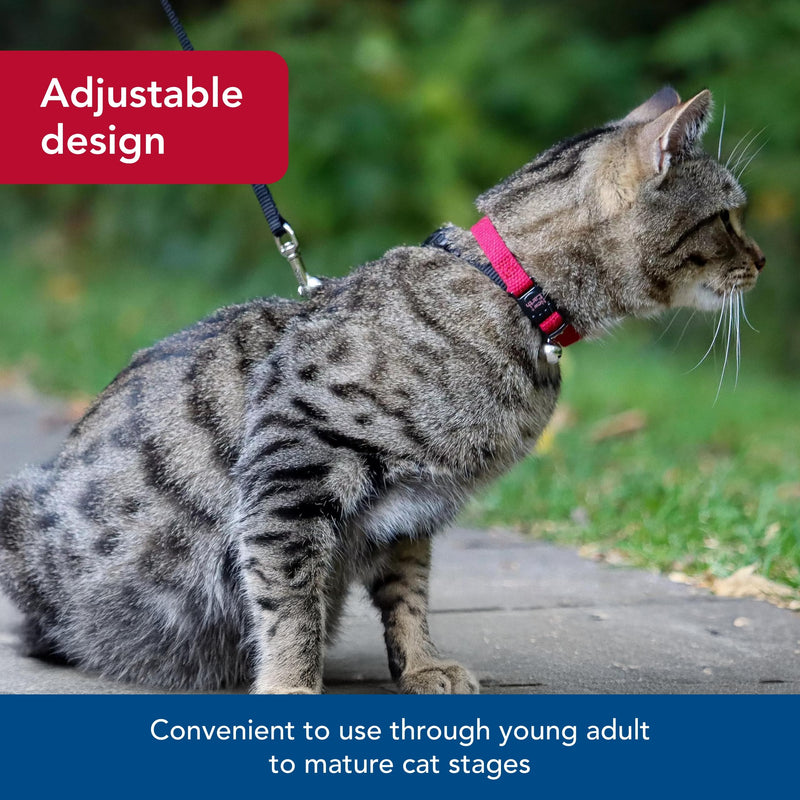 Coastal Pet New Earth Soy Adjustable Breakaway Cat Collar - Eco-Friendly, Odor-Resistant and Adjustable Cat Collar, Rose, 3/8" x 08"-12" 3/8" x 08"-12" (Pack of 1) - PawsPlanet Australia