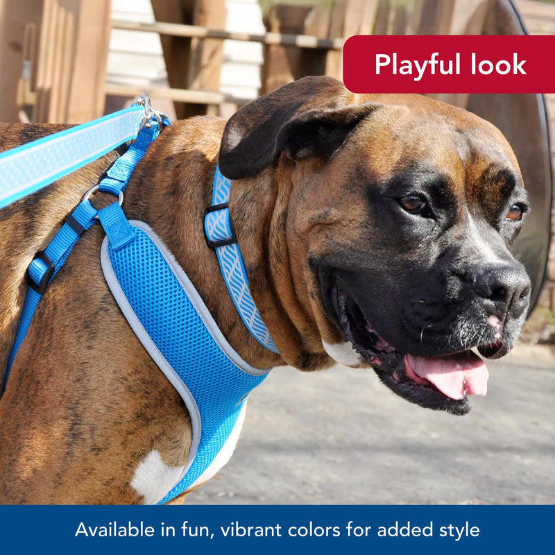 Coastal Pet Comfort Soft Reflective Wrap Adjustable Dog Harness - No-Pull Dog Harness for Small & Large Dogs - Blue Lagoon - 5/8" x 16"–19" 5/8" x 16"–19" (Pack of 1) - PawsPlanet Australia