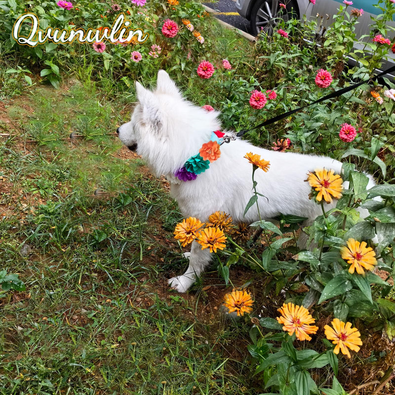 8pcs Flower Dog Collar Charms, Mulit Color Rhinestone Dog Collar Bow Ties for Puppy Cat Dog Grooming Accessories - PawsPlanet Australia