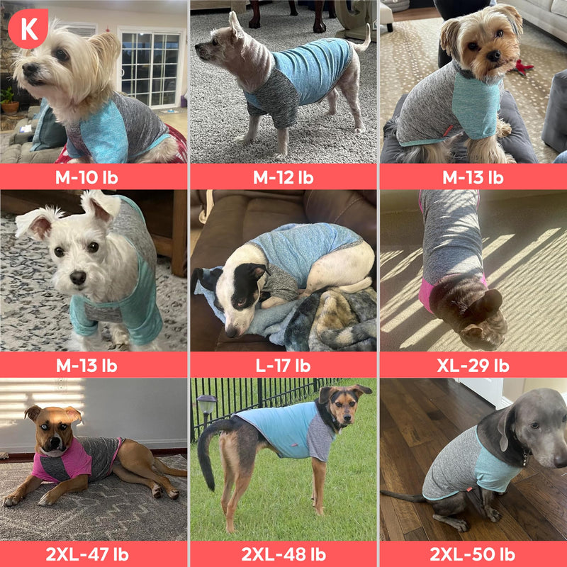 KYEESE 2Pack Dog Shirt with Sleeves, Lightweight Sun Protection Dog T Shirts for Small Dogs Boy, Breathable Pet Tank Top Reflective Dogs Clothes for Summer Outdoor Walking, Blue+Grey, M Medium (7-13lbs) 1# 2Pack(Blue+Grey) - PawsPlanet Australia