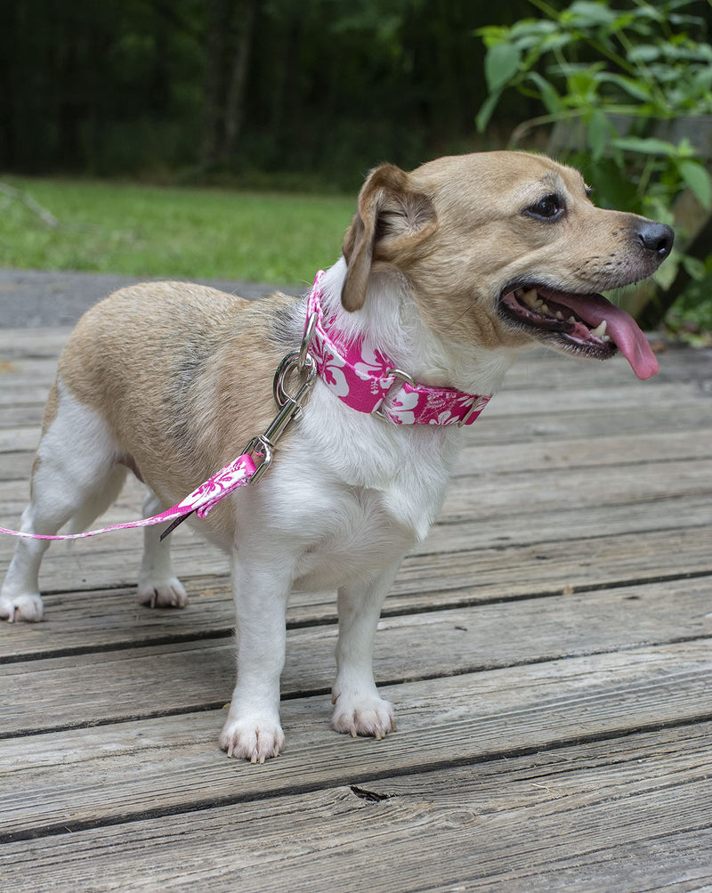 Country Brook Petz - Pink Hawaiian Martingale Dog Collar - Summer Breeze Collection Featuring Sunny Designs (1 Inch, Medium)