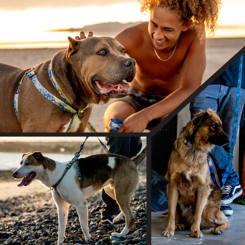 Wolfgang Heavy Duty Dog Leash, Pull-Tested to Over 800 lbs for Walking & Training, DawnPatrol Print, Large - PawsPlanet Australia