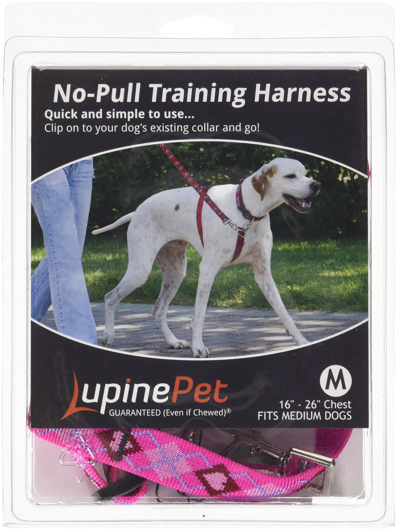 LupinePet Originals 3/4" Puppy Love 16-26" No Pull Harness for Small-Medium Dogs - PawsPlanet Australia