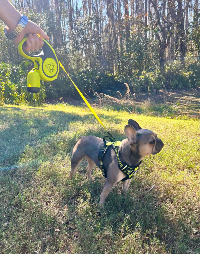 Funny Fur Grace - Neon Green Adjustable Heavy Duty Escape-Proof Harness, No Pull Design - Ideal for Medium Dogs - M Size #funnyfurgrace - PawsPlanet Australia
